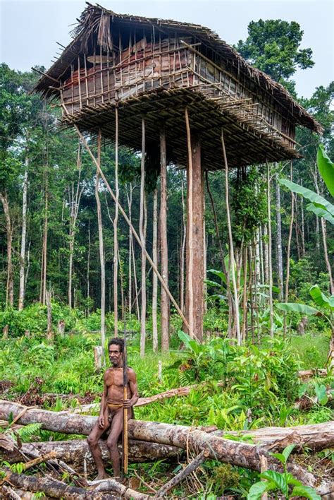 Papuan From A Korowai Tribe Live In The Houses Built On Trees Editorial Photography Image Of