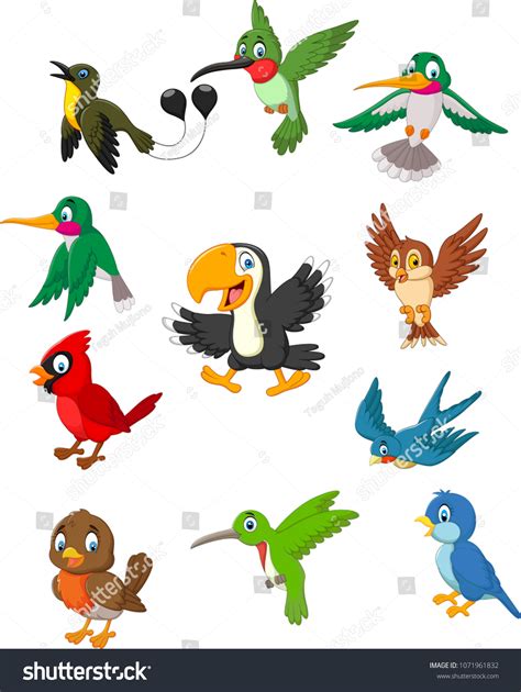 Cartoon Birds Collection Set Stock Vector Royalty Free Shutterstock