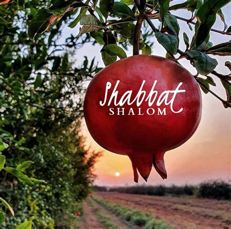 Shabbat Shalom Sabbath Rest Happy Sabbath Sabbath Quotes Shabbat