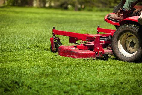 Biggest Lawn Care Mistake Is Cutting Grass Too Short