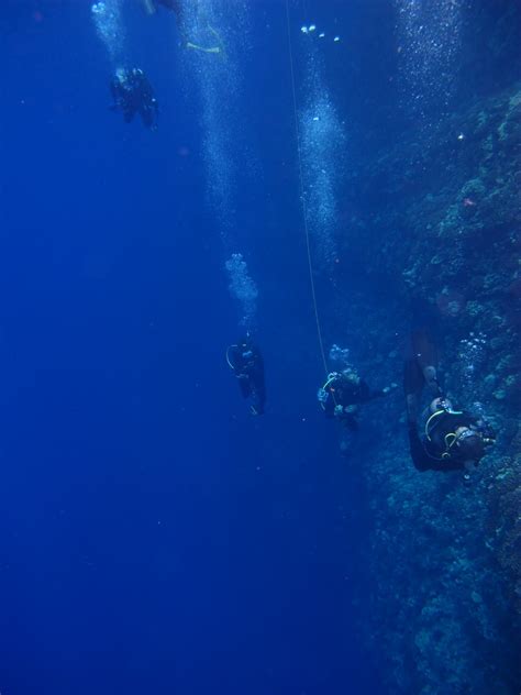 Daily Underwater Photo Backside Molokini Crater Maui