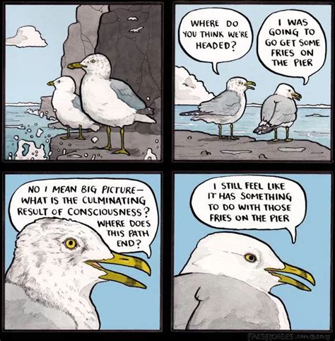 The Philosophy Of Seagulls Comics Funny Comics Funny Memes