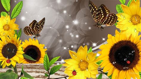 Sunflowers And Butterflies Collage Wallpaperlist Sunflower Art
