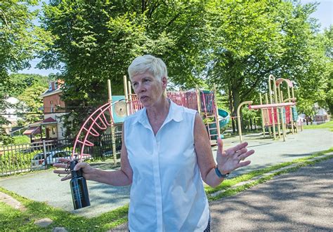 Pittsburghs Parks Are 400 Million Behind In Repairs 13 Million