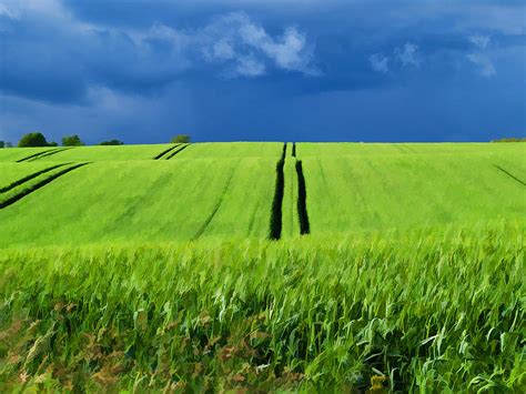 Green Grass Field With Dramatic Beautiful Sky Background Photograph By