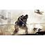 Buy Call Of Duty® Advanced Warfare Atlas Dig Pack  Microsoft Store En GB