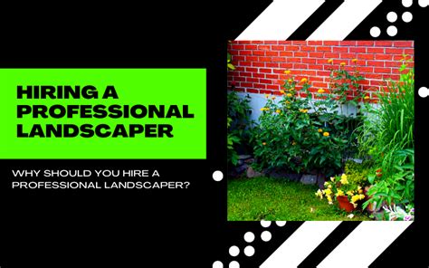 Why Should You Hire A Professional Landscaper