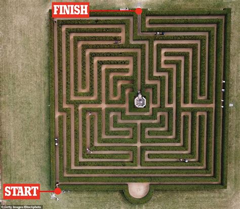 Can You Escape The Maze See If You Can Find Your Way To The Exit