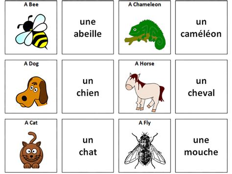 Animals French Vocabulary Card Sort Teaching Resources