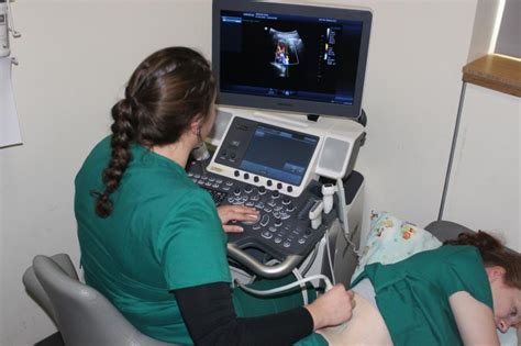 Diagnostic Medical Sonography Schools In Jacksonville Fl Infolearners