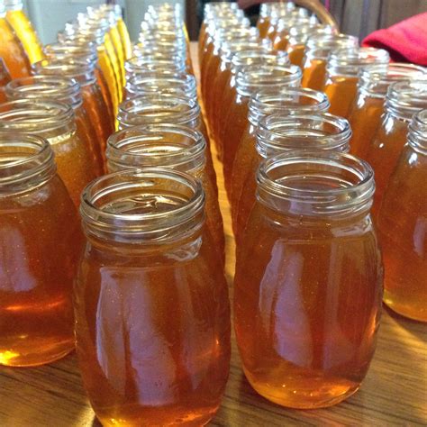 Raw Local Honey Extracted And Bottled By Rick Falconi 38 Half Pound