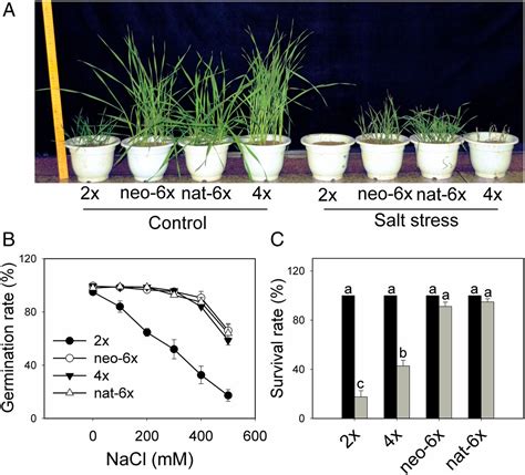 Evolution Of Physiological Responses To Salt Stress In Hexaploid Wheat