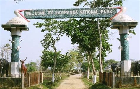 Assam The Gateway To North East Shakomato