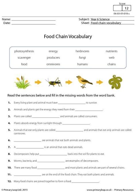 5th Grade Food Webs And Food Chains Worksheet Thekidsworksheet