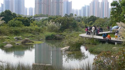 香港濕地公園 Hong Kong Wetland Park Flickr