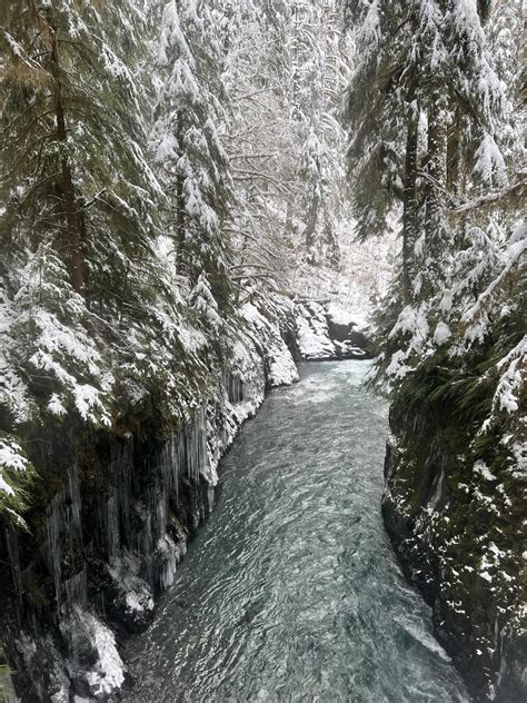 Enchanted Valley Via East Fork Quinault River — Washington Trails