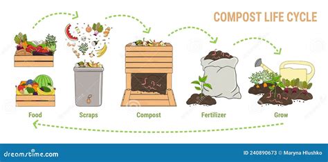 Compost Life Circle Infographic Composting Process Stock Vector