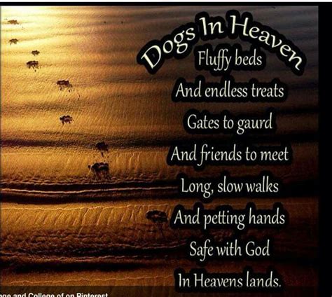Pin By Diana On Shih Tzu And Pekingese Dog Heaven Dog Heaven Quotes
