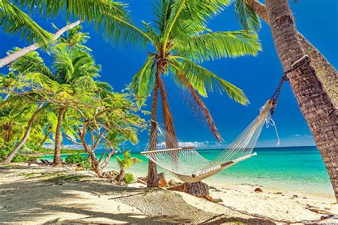 Tropical Rest Fiji Shade Tropics Paradise Relax Beautiful