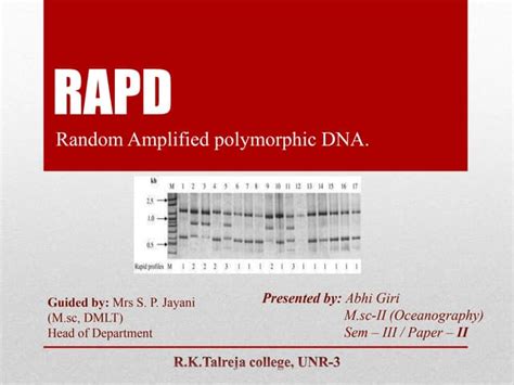 Random Amplified Polymorphic Dna Rapd Ppt