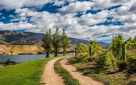 Landscape New Zealand Mountain River Trail Trees Blue Sky And White