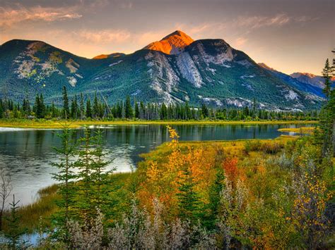 Natural Beauties Canada Landscape Rocky Mountains Pine
