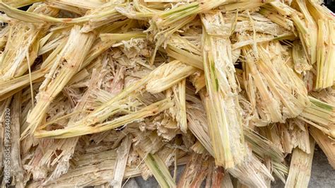 Bagasse That Has Been Squeezed Sugarcane Bagasse Waste Product Fibers