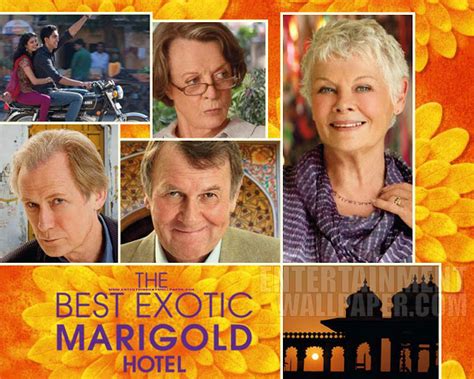 Underneath all larkiness, the best exotic marigold hotel makes interesting points about the challenges facing elderly people trying to cope in an adverse economic climate, and the globalization of service industries. Victorian Swag: The Best Exotic Marigold Hotel