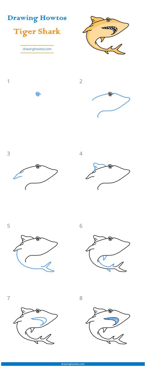 Easy step by step tutorial on how to draw a bengal tiger ( striped ), pause the video at every step to follow the steps carefully. How to Draw a Tiger Shark - Step by Step Easy Drawing ...