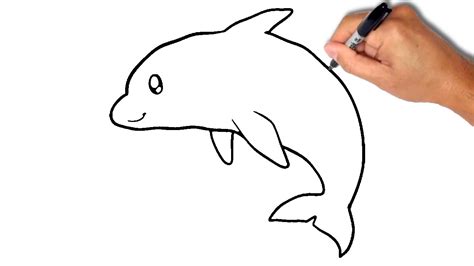 Simple Dolphin Drawing At Getdrawings Free Download