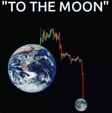 I Was Told Were Going To The Moon Rwallstreetbets