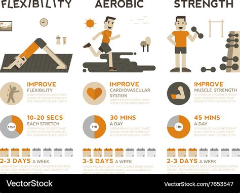 Exercise Infographic Royalty Free Vector Image