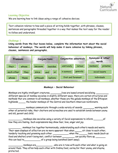 Year 6 Cohesive Devices Worksheet Activities Natural Curriculum