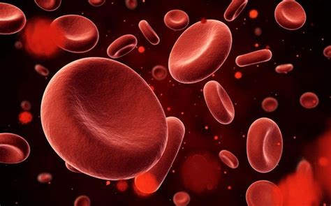 Top 10 Causes Of Low Platelets In Adults And Babies
