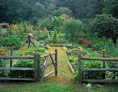 vegetable gardening for beginners the basics of planting pinterest vegetable garden ideas