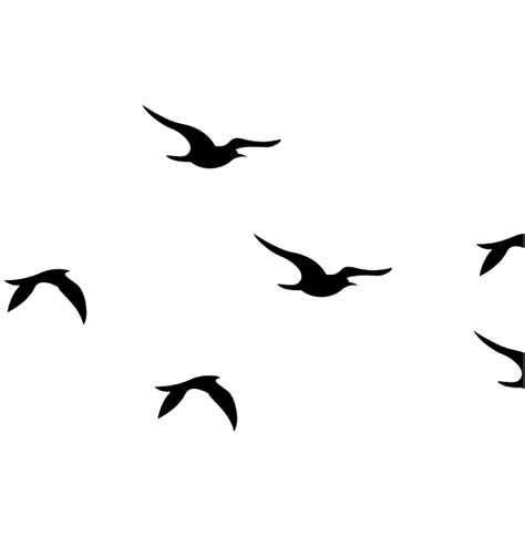 Flying Bird Png High Quality Image Png All