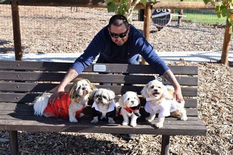 Howl Oween Happening At Sherwood Dog Park Oct 26 Paso Robles Daily