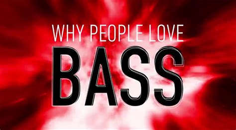 These songs are so energetic that they will this playlist comprises 30 top punjabi bass boosted songs. The Verge Explores Why Our Brains Love Music With Bass | Your EDM