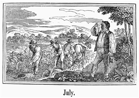 farmers 19th century nfarmers working in july wood engraving american 19th century poster