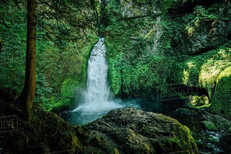Majestic View Of Waterfall Amidst Forest Stock Photo Dissolve
