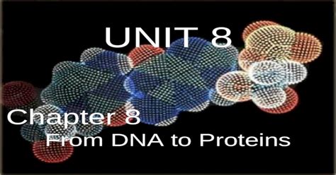 Unit 8 Chapter 8 From Dna To Proteins Unit 3 Introducing Biology