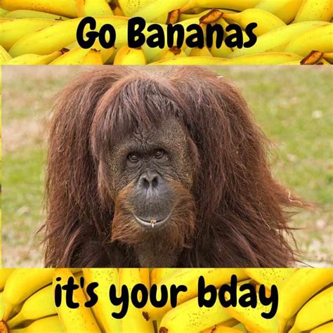 Funny Happy Birthday Memes Images To Share With Friends