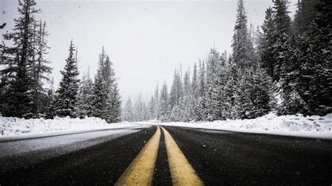 Free Images Tree Forest Snow Cold Winter Black And White Road