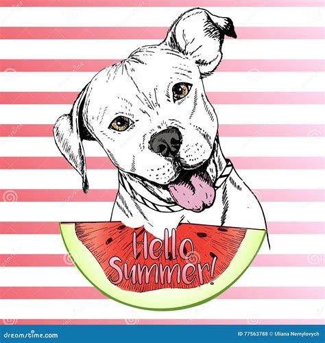 Vector Hand Drawn Illustration Of English Pitbull Dog Eating The