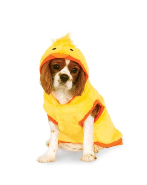 Duck Hoodie Dog And Cat Costume Pet Costume Center