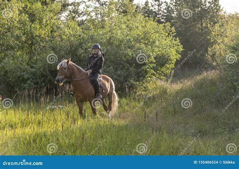 Équitation De Femme Dans Le Coucher Du Soleil Photo Stock Image Du Horizontal Dressage 155406524