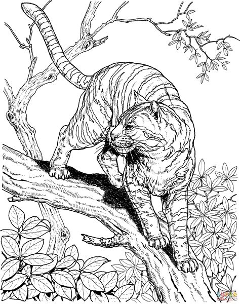 Tiger In A Jungle Coloring Page Free Printable Coloring Pages