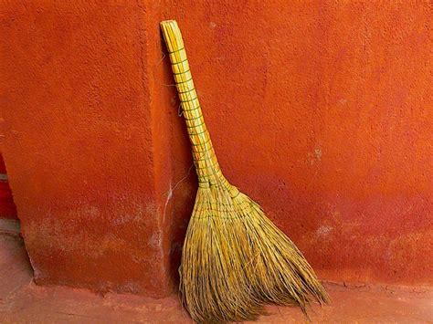 Chinese Broom Mark Mitchell Flickr