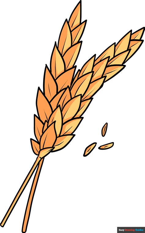 How To Draw Wheat Really Easy Drawing Tutorial