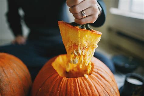 Cooking a whole pumpkin can seem like an intimidating task, especially if you've never cooked any type of squash before. How to Choose Pumpkins to Carve or Pumpkins for Cooking